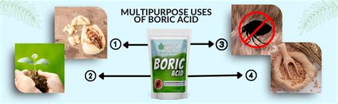 Bliss of Earth Boric Acid Powder For Cockroaches & termites, Rice ...