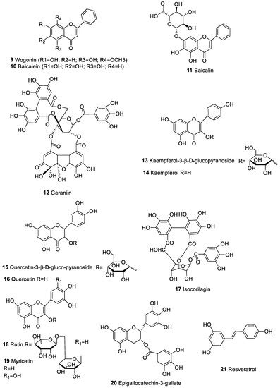 Antitumor Potential of Immunomodulatory Natural Products