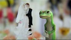 Geico Wedding Insurance by Geico Tv Commercial Tlc The Weddings Geico Wedding Insurance