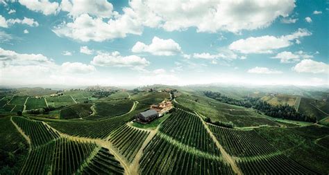 BOROLI - CANTINA "LA BRUNELLA" (2026) All You Need to Know BEFORE You ...