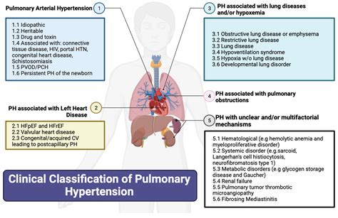 Diagnostic Evaluation of Pulmonary Hypertension | Encyclopedia MDPI