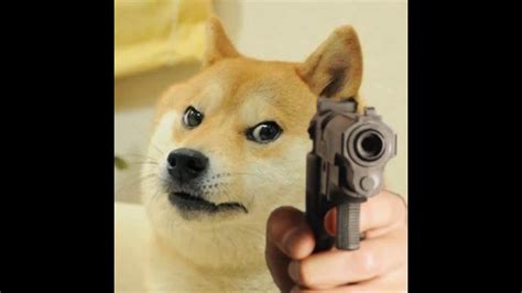 Sniper Dog Memes This Dog Sleeps With A Gun ! Imgflip