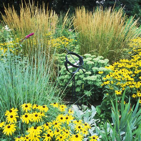 11 Best Ornamental Grasses Tall And Dwarf Ornamental, 55% OFF