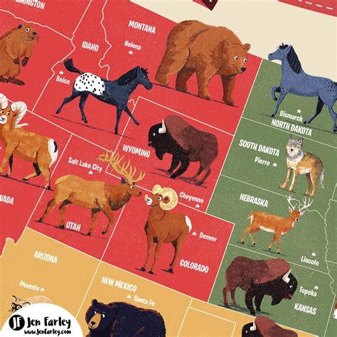 The United States Animals