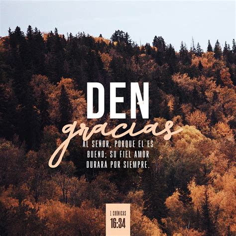1 Crónicas 16:34 Den gracias al SEÑOR, porque él es bueno; su fiel amor ...