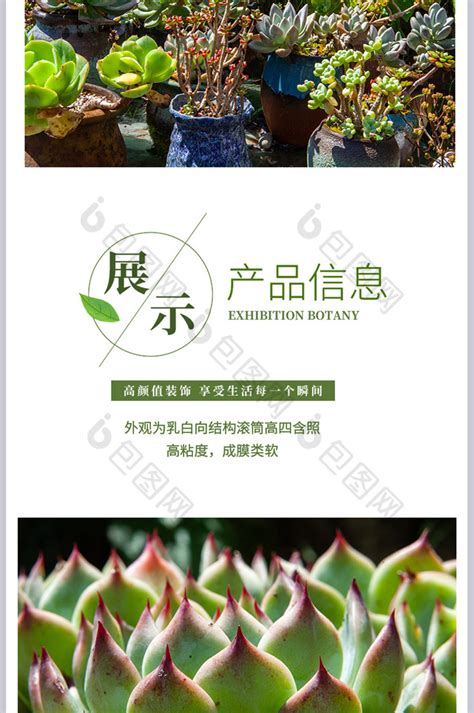 超级植物公司：一家不卖花的花店！_凤梨
