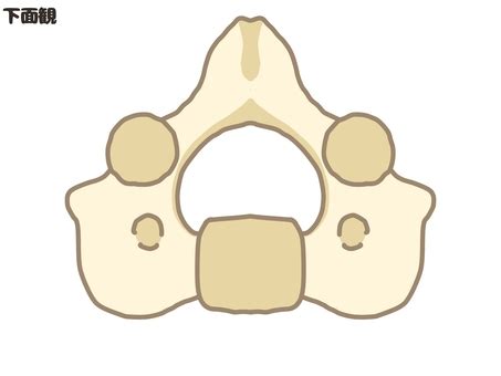Image result for Python Image Processing Step