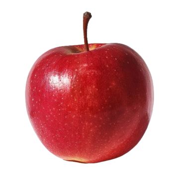 Image result for Apple Basic Programming Example
