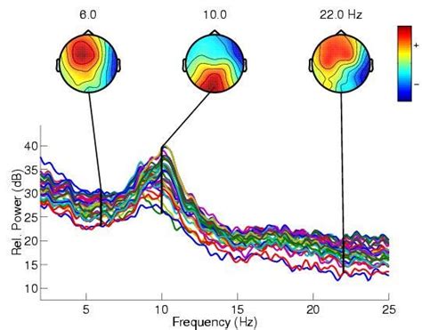 Image result for How to Manually Code in EEGLAB