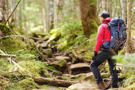 必应徒步 的图像结果