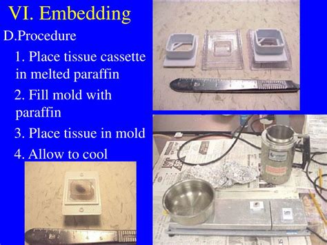 Tissue Processing 的图像结果
