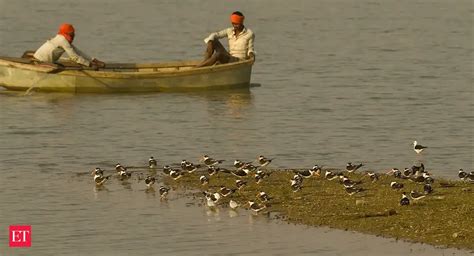 Other sites - With 50% increase, it's been a good year for wetlands in ...