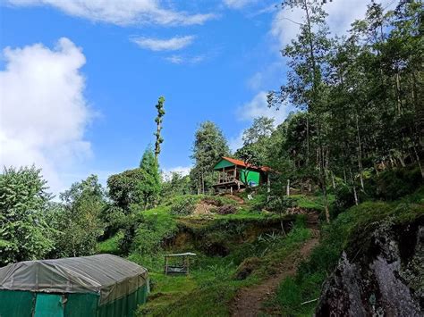 Stay At The Dawaipani Rovers Eco Resort, Darjeeling I LBB