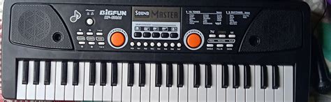 Domenico World Piano Keyboard 49 Keys- Multi-Function Portable Piano ...