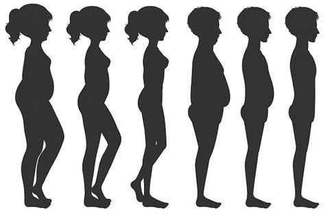 Male and female body transformation | Free Vector
