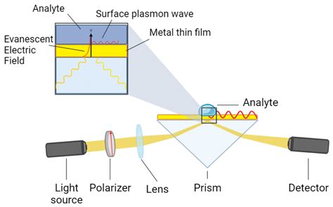 Detailed Modeling of Surface-Plasmon Resonance Spectrometer Response ...