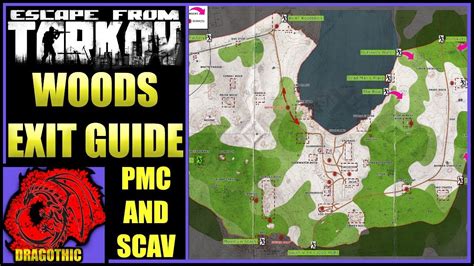 Escape from tarkov woods extraction point map - holfpartners