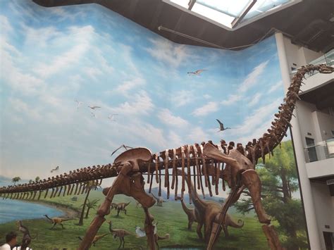 2023辽宁古生物博物馆游玩攻略,有好多大恐龙！孩子们特别喜... 【去哪儿攻略】