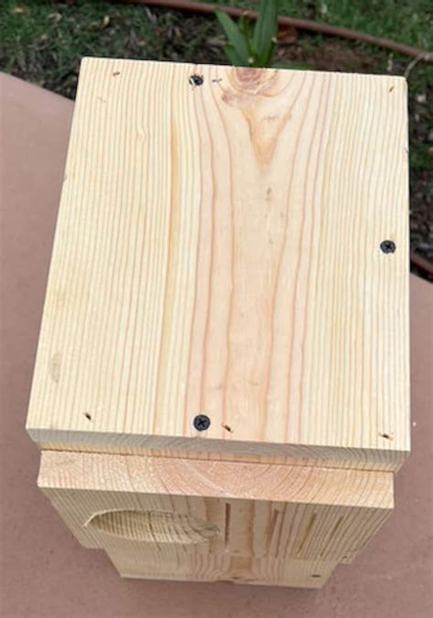 Image result for Bird Box for Conures