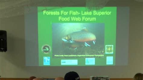 DNR holds 'Wildlife through Forestry' forum in Ispheming