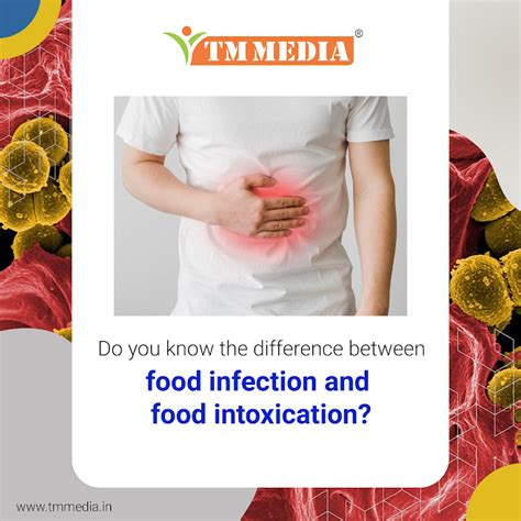 Infection vs Intoxication in Food Microbiology: What’s the Difference ...