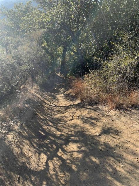 Stevens Canyon Trail - California | AllTrails