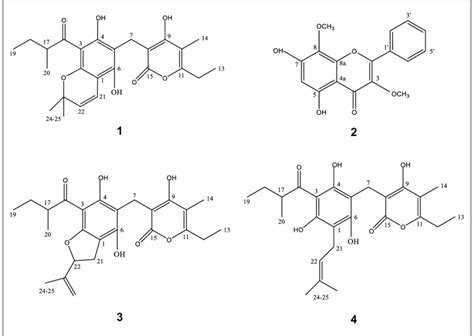 Compound 的图像结果