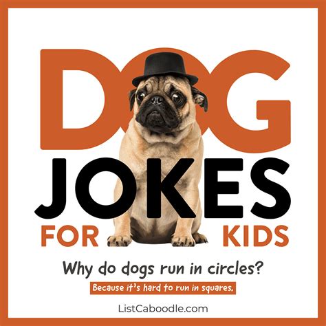 Jokes About Dogs