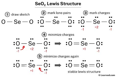 SeO2 Lewis structure, molecular geometry, bond angle, hybridization
