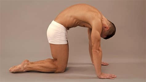 Image result for Lower Back Stretching Exercises