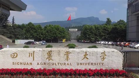 2024年四川农业大学有几个校区,新生在哪个校区 _大风车考试网