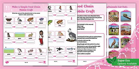Make a Simple Food Chain Mobile Craft (Ages 6 - 7)