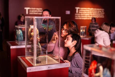 American Pie Revealed