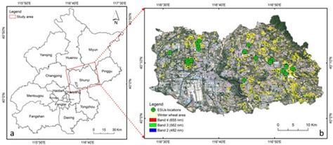 Assessment of Leaf Chlorophyll Content Models for Winter Wheat Using ...