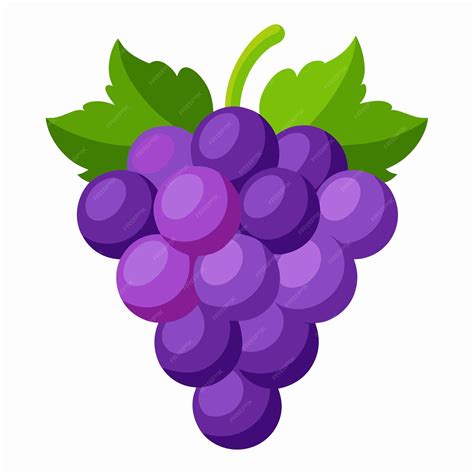 Grape Fruit Color Clip Art Vector Design | Premium AI-generated vector