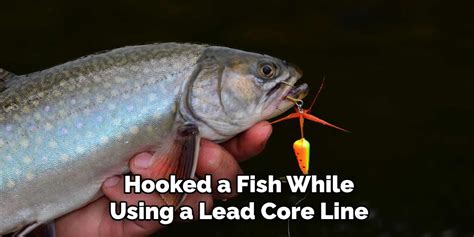 Image result for Using Lead Core Line