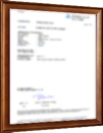 Company Overview - Yongkang Yongying Industry And Trading Co., Ltd.