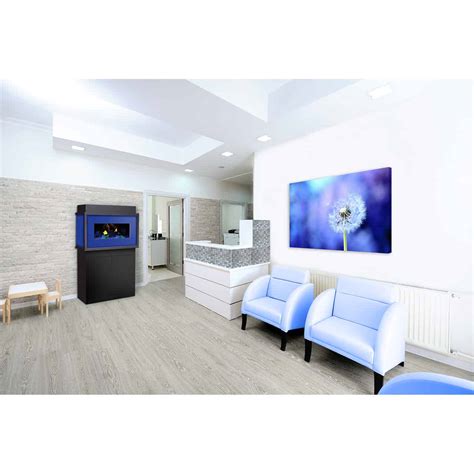 Image result for Dimplex Opti V Review