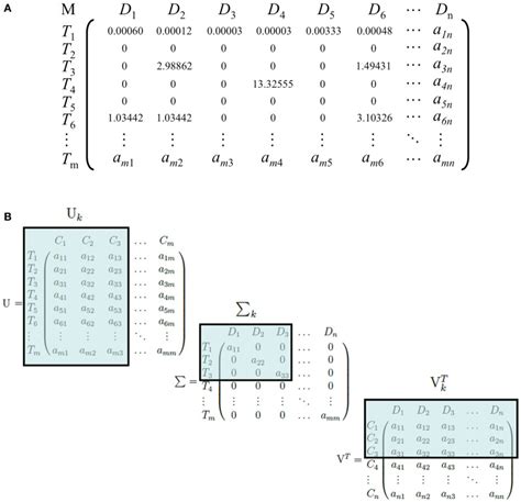 Image result for Document Matrix Example