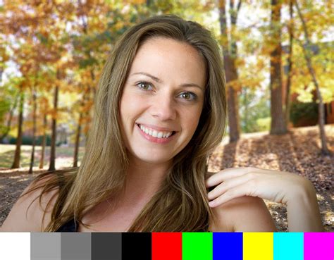 RGB Color Accuracy Test 的图像结果