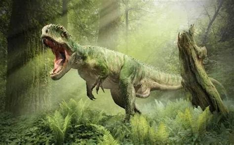 【30厘米的恐龙长啥样？中国科学家发现美颌龙类新物种( 二 )|恐龙家族里的成员们并不都是】_傻大方