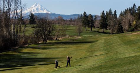 Image result for Golf Course Back Open