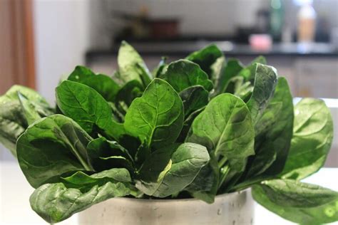 4 alimentos antiinflamatorios que te ayudaran a bajar de peso - La Tercera