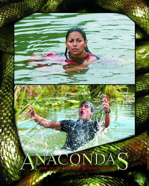 Todo El Terror Del Mundo: Anaconda 2, La Caceria Por La Orquidea ...