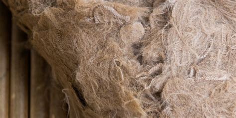 Image result for Backing Lacking