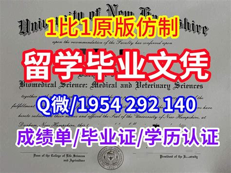 购买BMIHMS学位证书补办微信：1825214279学校原版1:1制作购买澳洲蓝山酒店管理学院 | wq-azのブログ