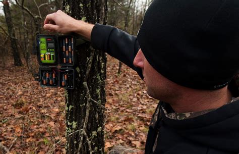 Discover the Truth Behind Christmas: What the Bible Really Says!