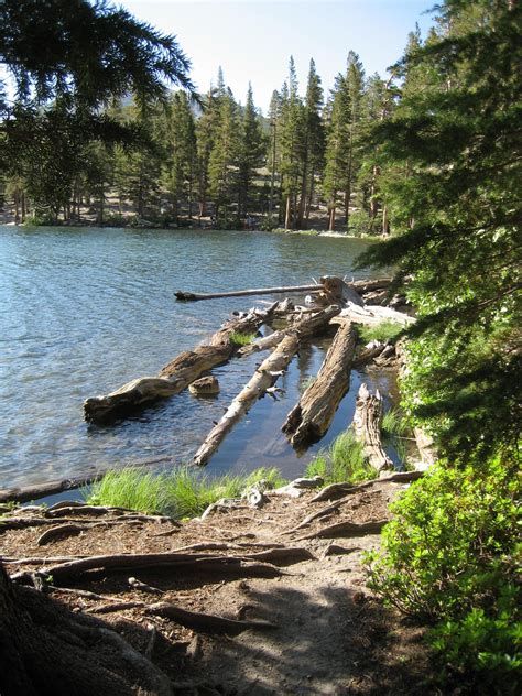 Rancho sierra vista satwiwa in newbury park – Artofit