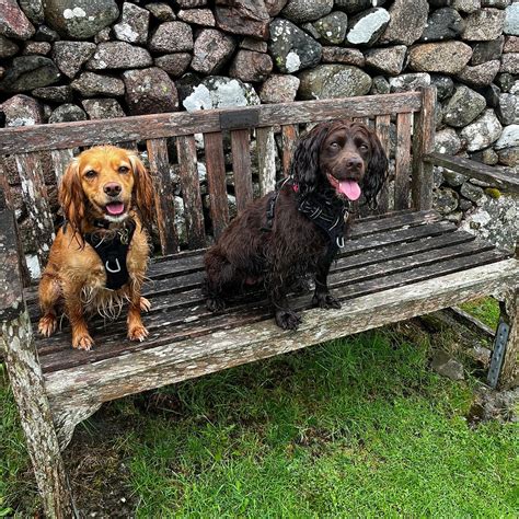 ESKDALE CAMPSITE (Boot) - Campground Reviews & Photos - Tripadvisor