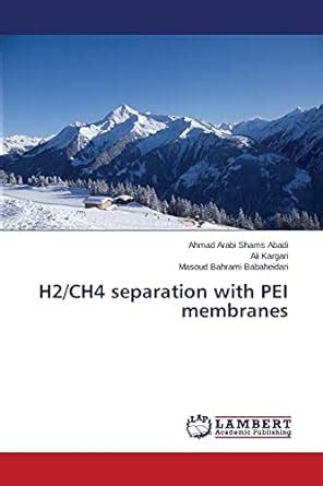 Buy H2/Ch4 Separation with Pei Membranes Book Online at Low Prices in ...